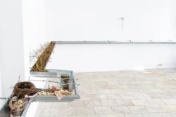 Missing alternative text