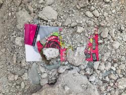 Missing alternative text