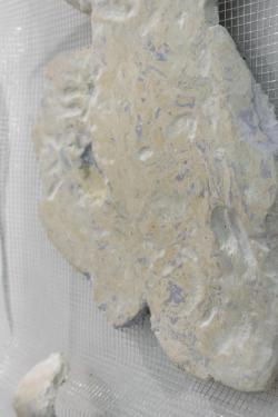 Missing alternative text