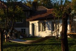 Missing alternative text