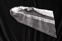 Missing alternative text