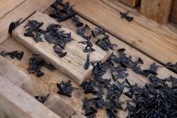 Missing alternative text