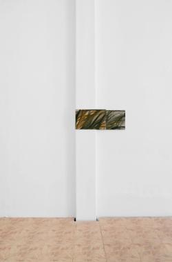 Missing alternative text