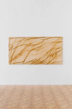 Missing alternative text