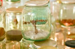 Missing alternative text