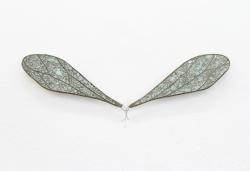 Missing alternative text