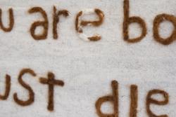 Missing alternative text