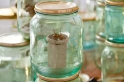 Missing alternative text