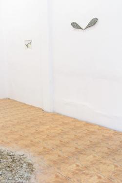 Missing alternative text