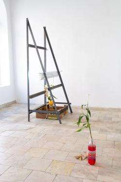 Missing alternative text