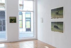 Missing alternative text