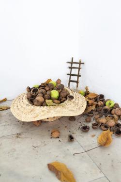 Missing alternative text