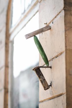 Missing alternative text