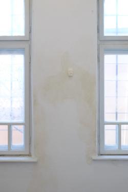 Missing alternative text