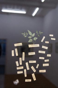 Missing alternative text