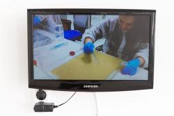 Missing alternative text