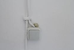 Missing alternative text