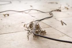 Missing alternative text