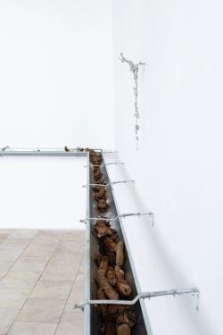 Missing alternative text