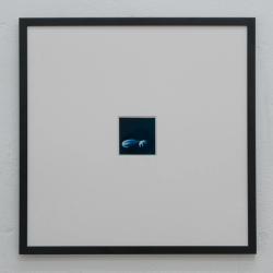 Missing alternative text