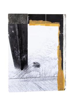 Missing alternative text