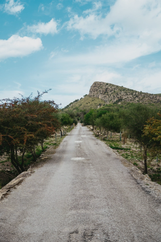 image number 29 for post 'One week in the beautiful island of Mallorca''