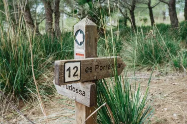 image number 24 for post 'One week in the beautiful island of Mallorca''