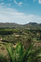 image number 10 for post 'One week in the beautiful island of Mallorca''
