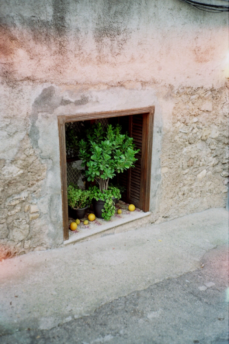 image number 17 for post 'Artà on film''