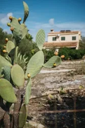 image number 20 for post 'One week in the beautiful island of Mallorca''