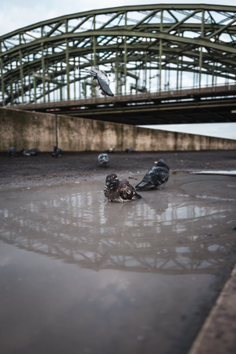 image number 3 for post 'First shots from the Leica Q P''