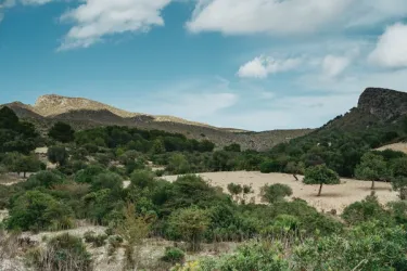 image number 3 for post 'One week in the beautiful island of Mallorca''