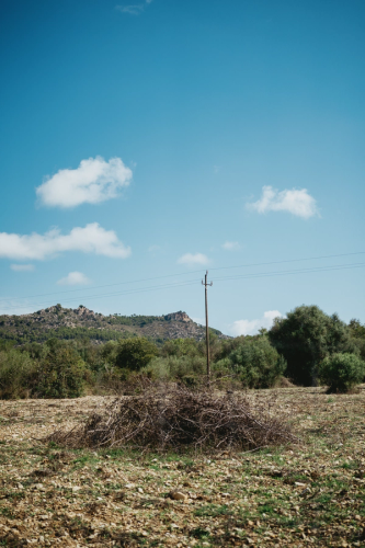 image number 22 for post 'One week in the beautiful island of Mallorca''