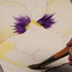 Violet