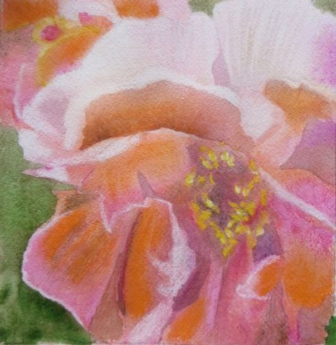 Watercolor with pastel intervention