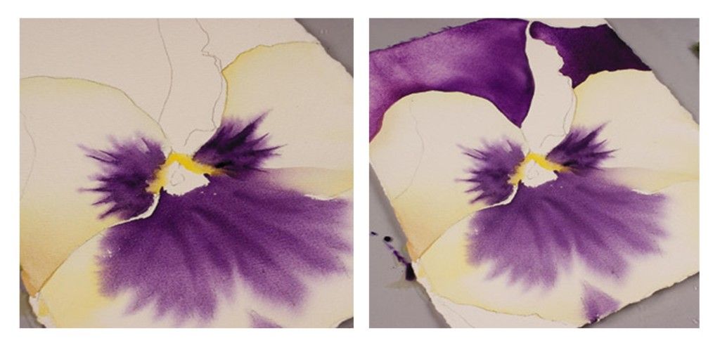 pansies