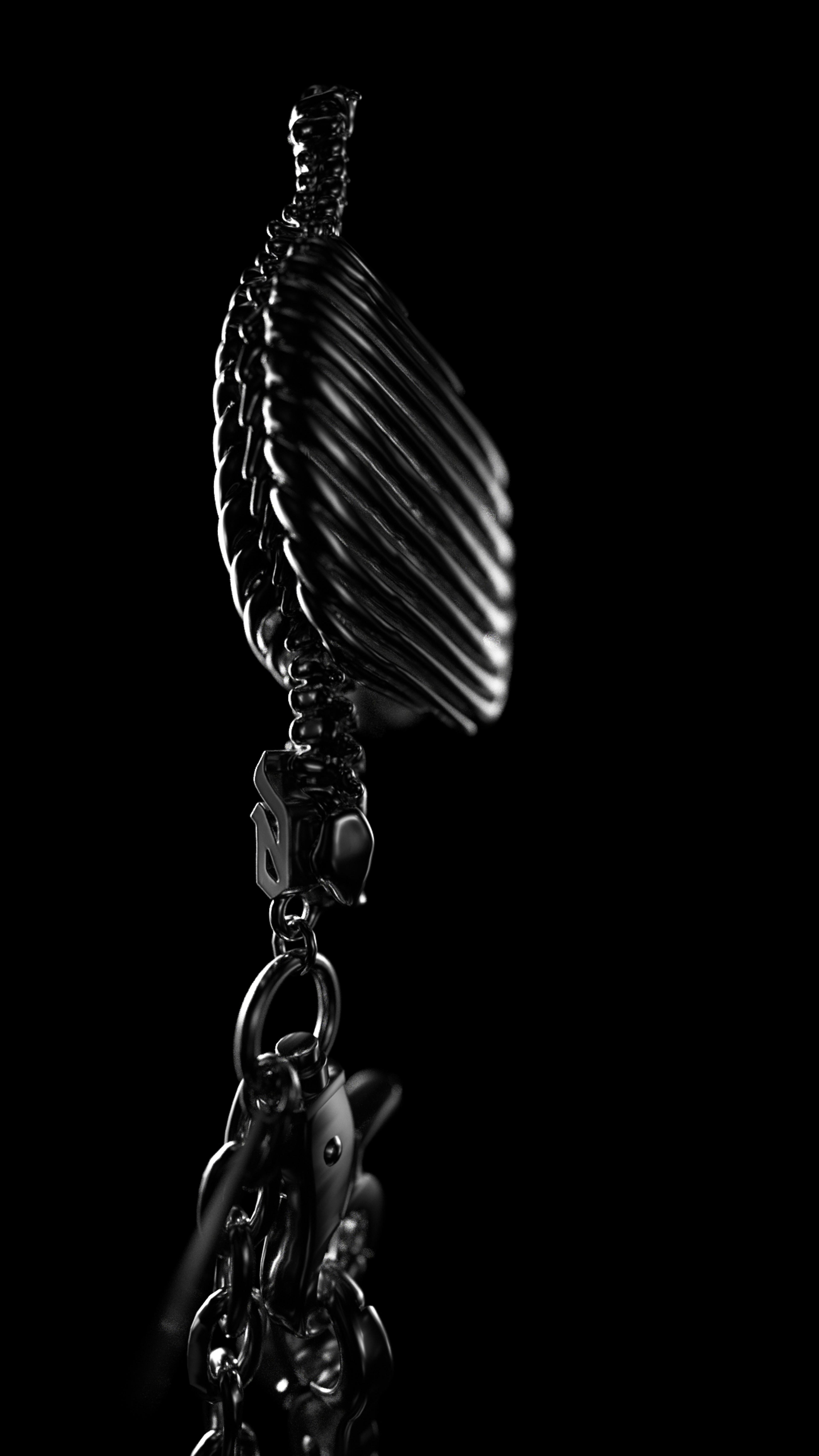 mxdvs ribcage, shot 1