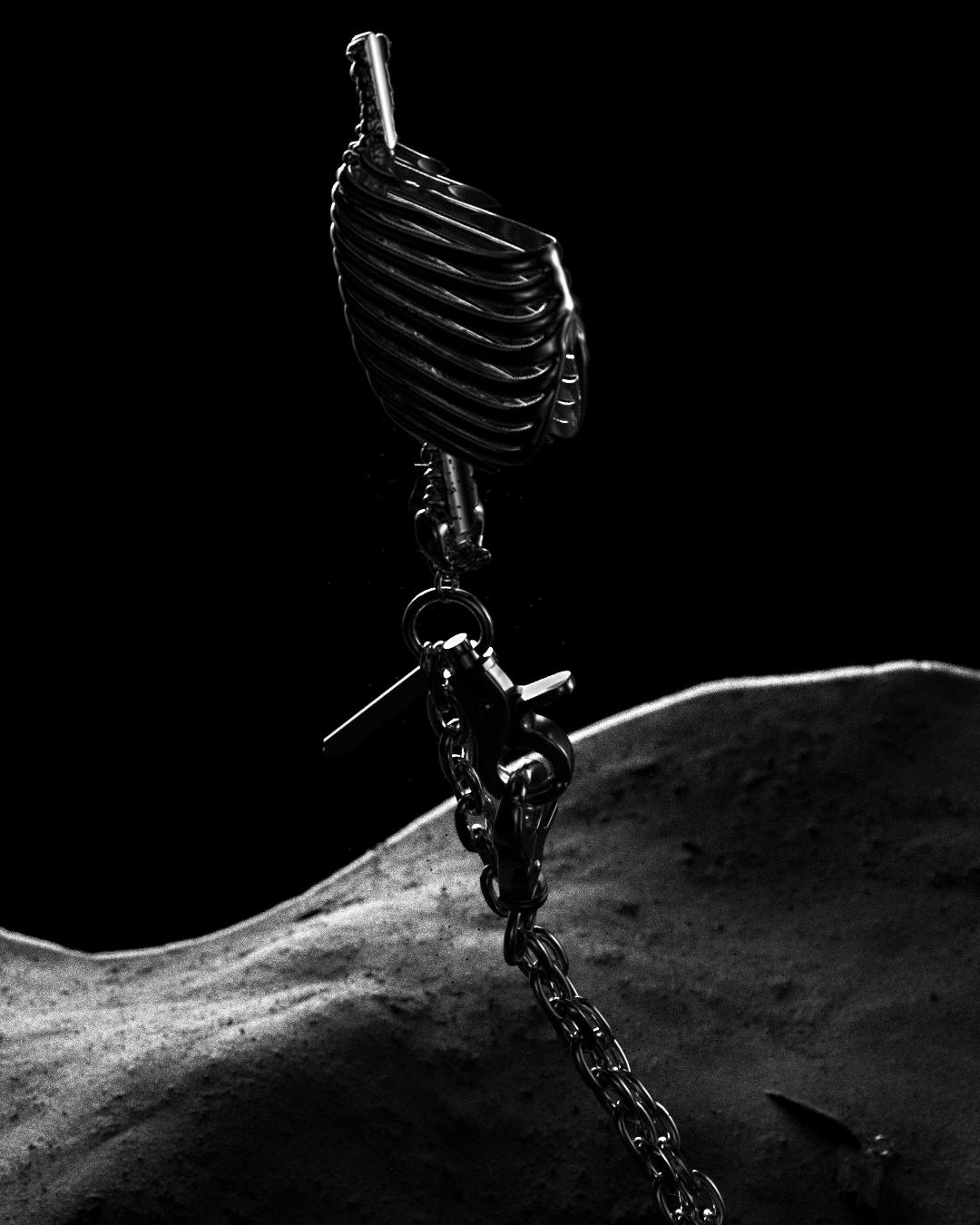 mxdvs ribcage, shot 4