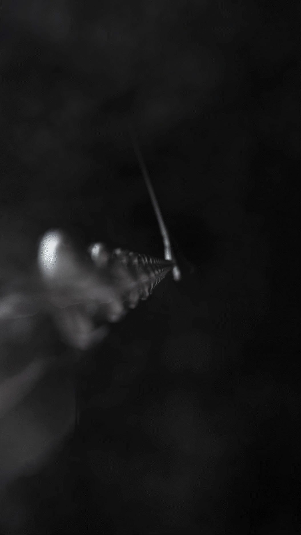 mxdvs + gothmoney, shot 1