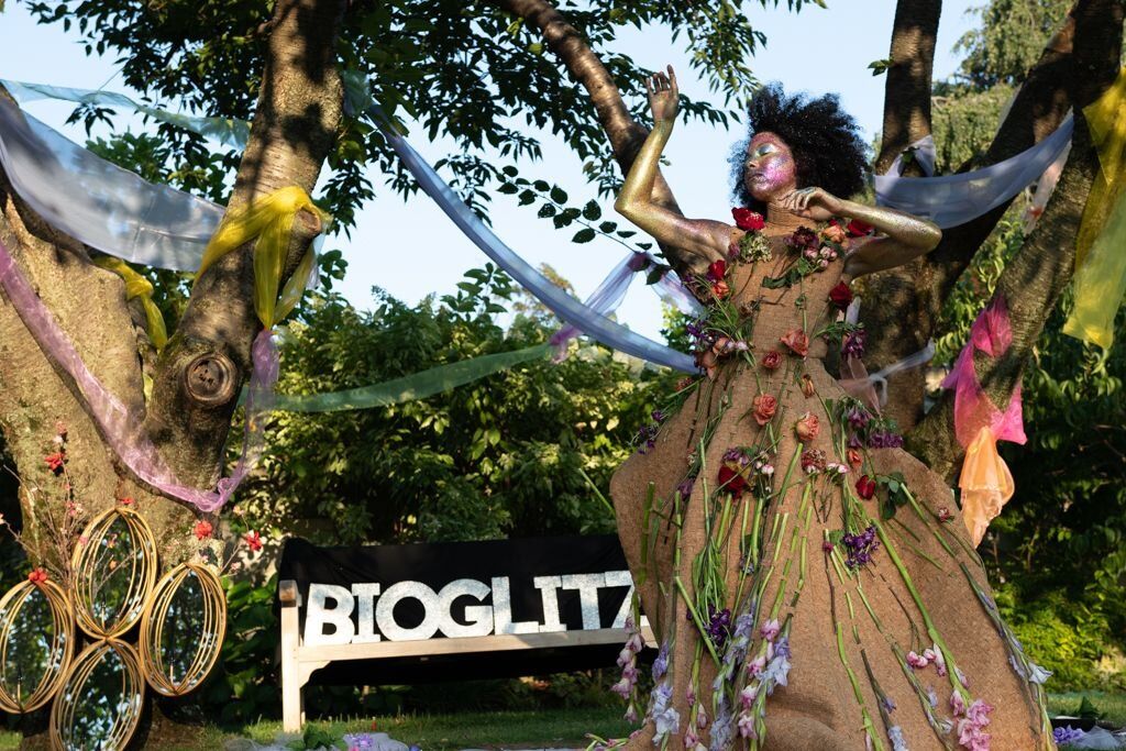 BioGlitz event entrance