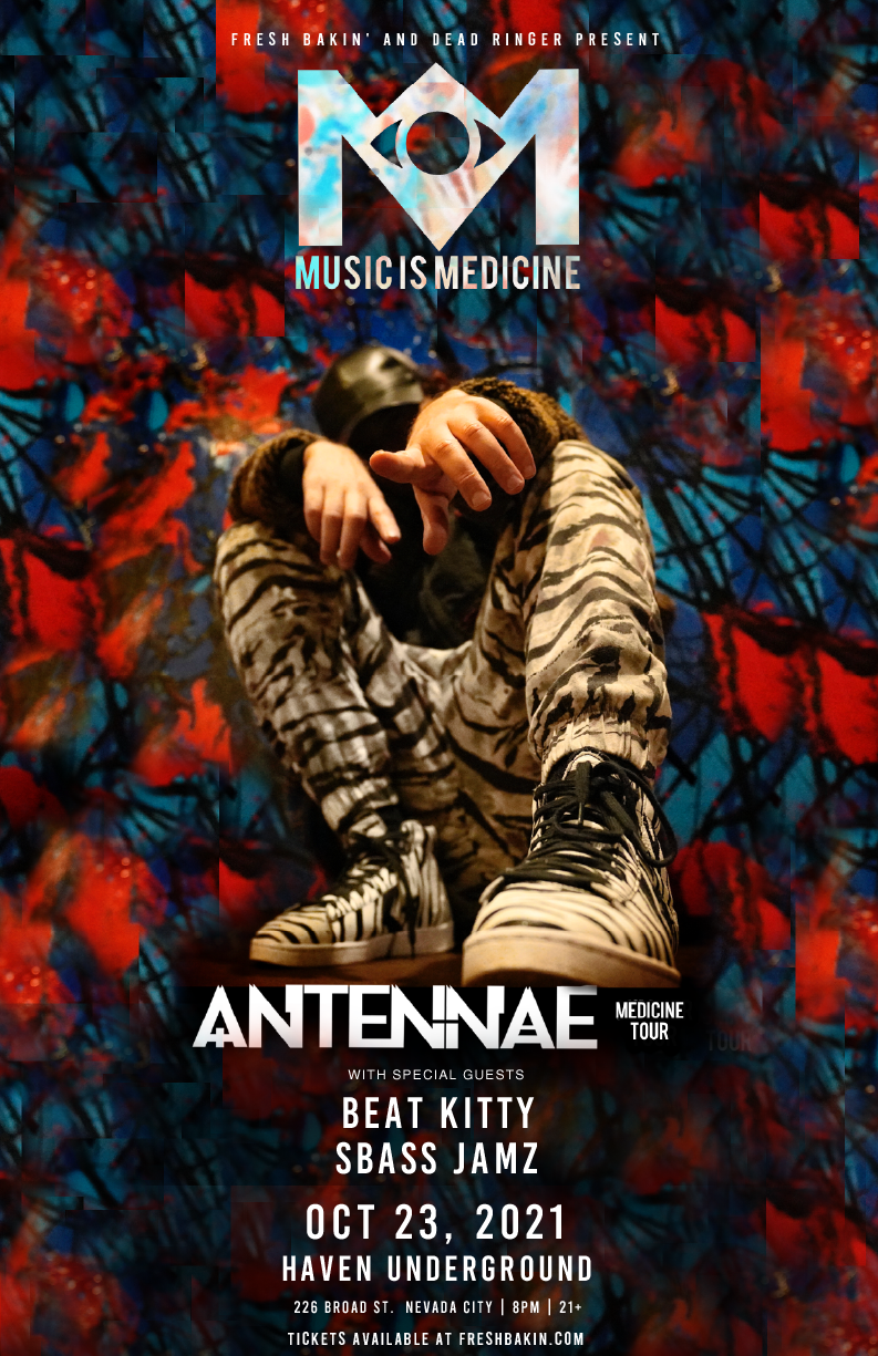 Antennae comes to Nevada City on October 23nd, 2021 to perform at Haven Underground.