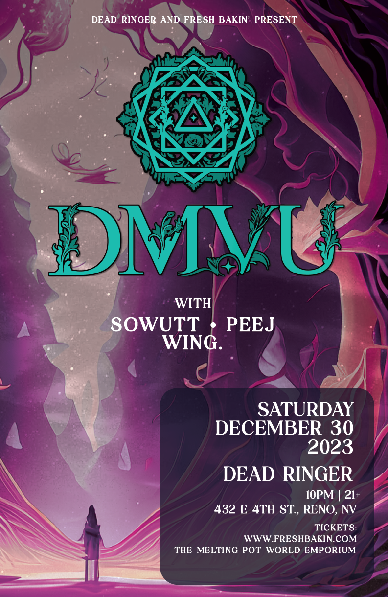 DMVU at Dead Ringer in Reno on December 30, 2023