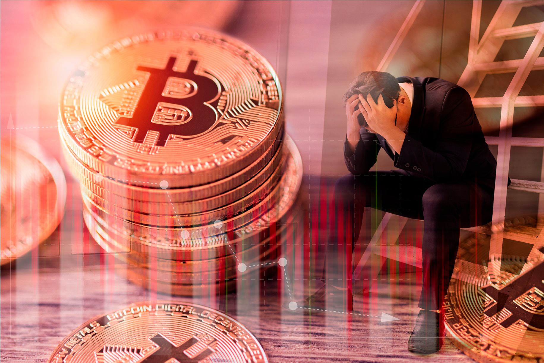 La Masacre de los $126k: Por qué Bitcoin perdió la mitad de su valor y cómo el pequeño inversor acaba de regalar $1,800 millones a las "Ballenas"