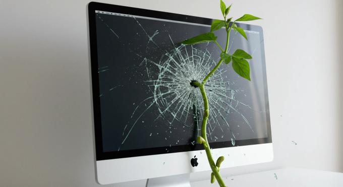 Plant vine springing from computer screen indicating digital growth