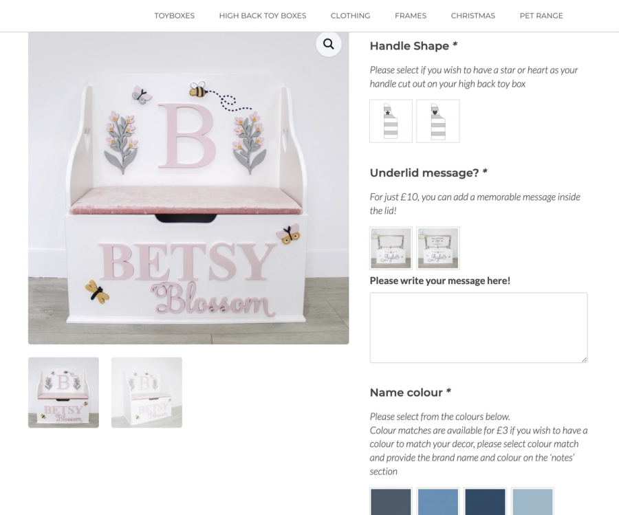 Product Options for customisable products in the web design