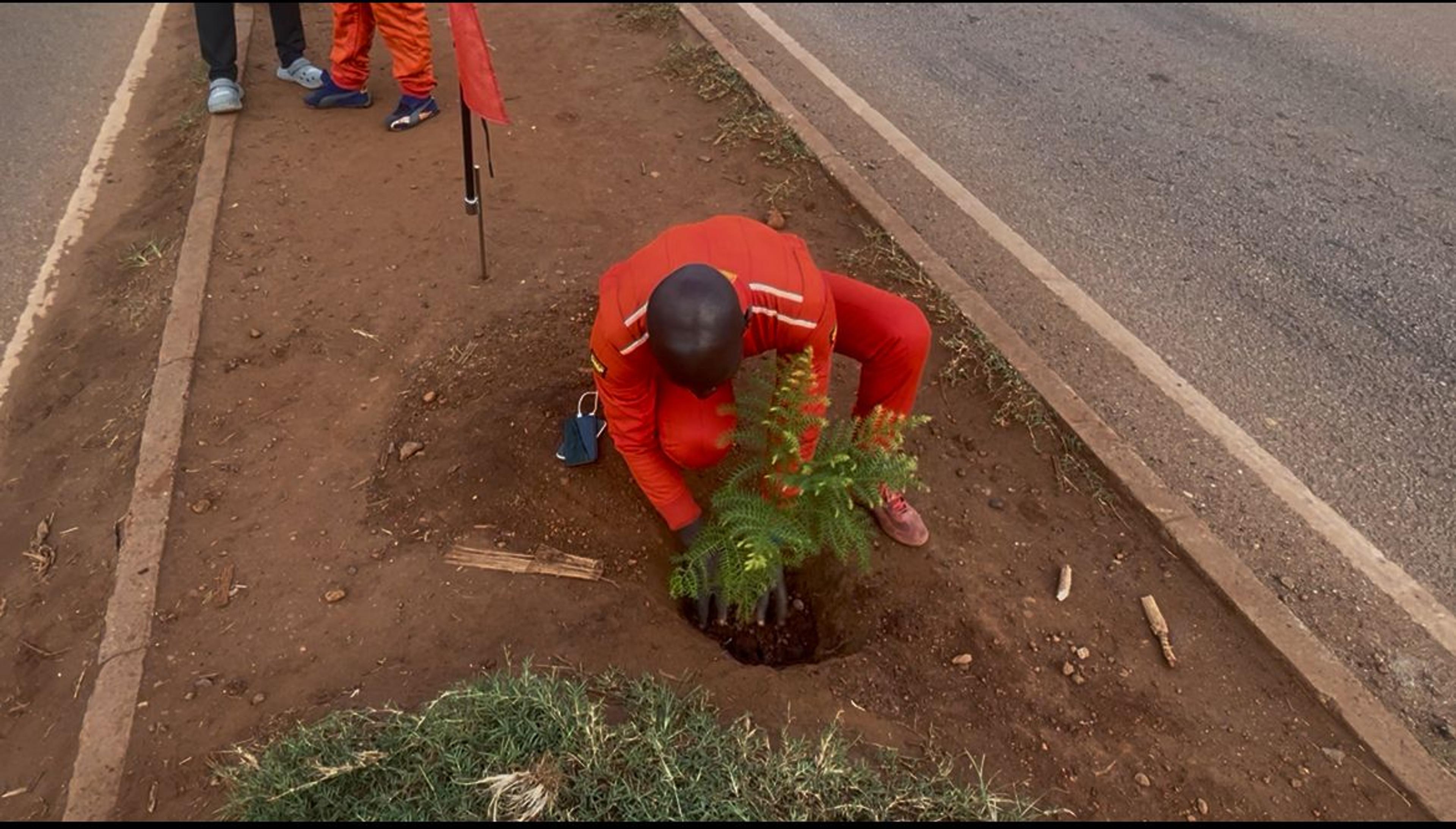 Rally drivers go green: Ssegaabwe leads tree-planting initiative at EMC rally