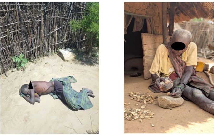 Left: a young woman lies on the ground outside a Kotido homestead, too weak to sit up. Right: an elderly resident cracks nuts by hand outside a hut, one of the few food sources left as sorghum and maize crops fail.