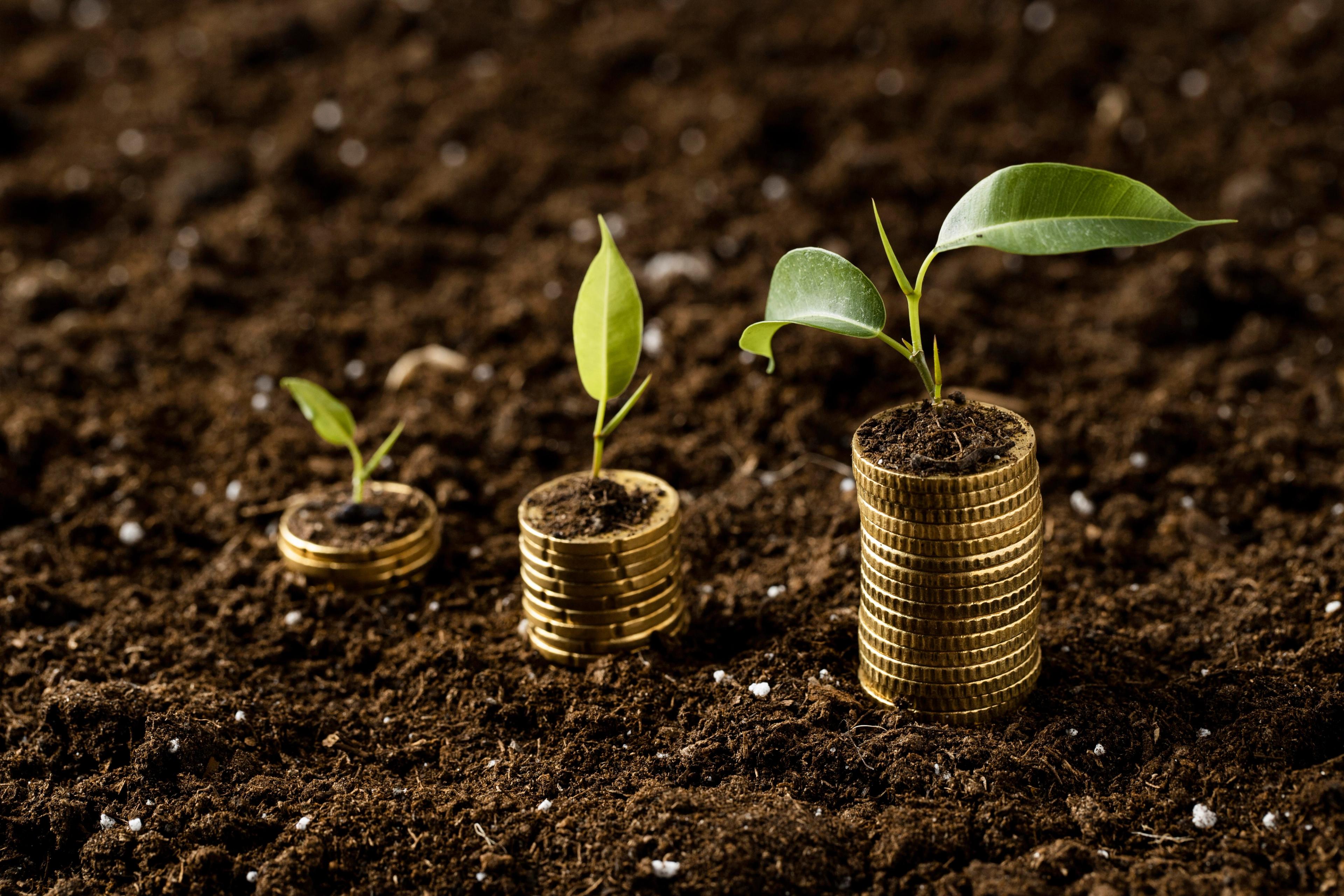 The next phase of Uganda’s growth will depend on where capital flows