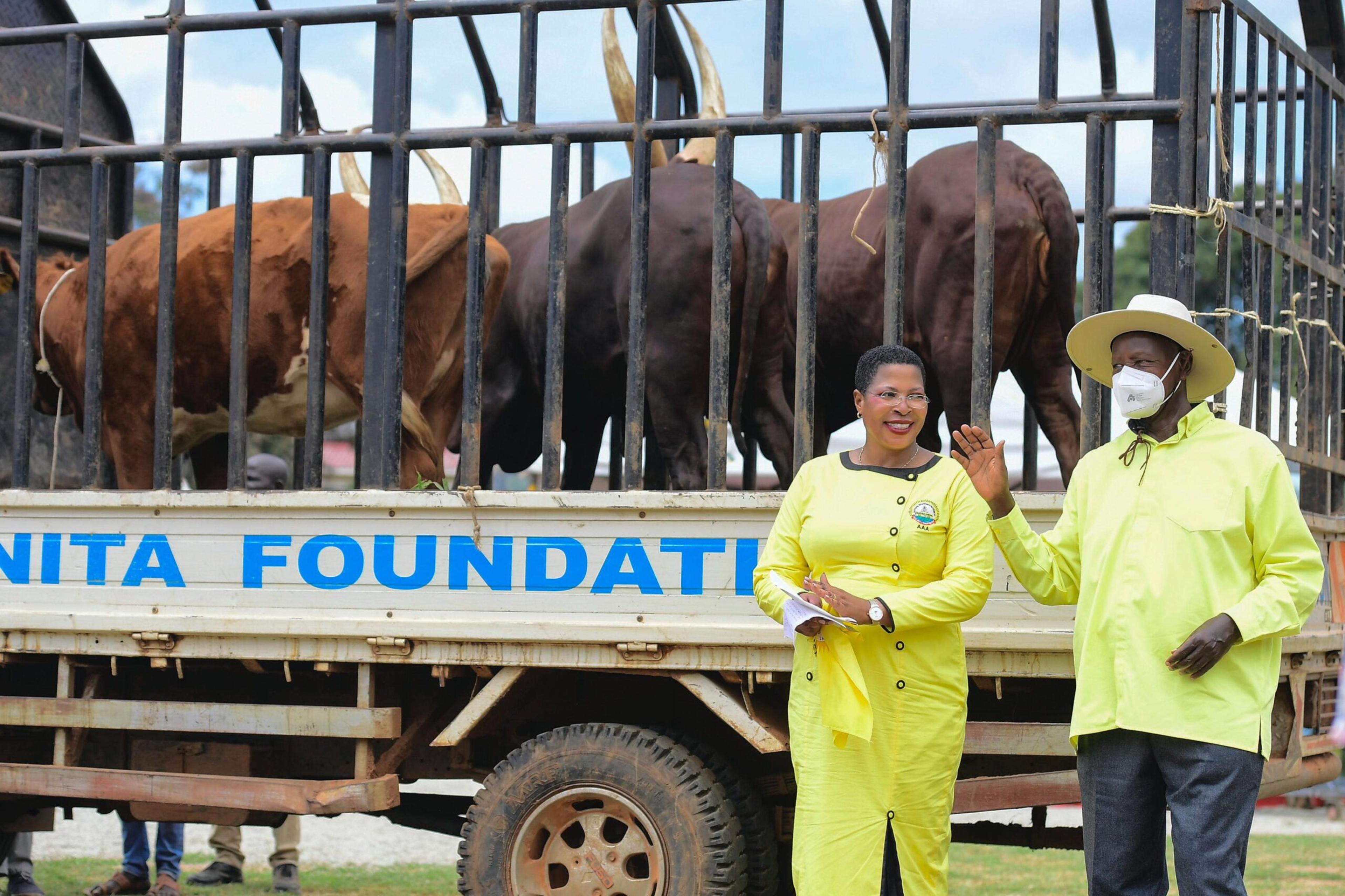 Museveni commissions Acomai irrigation scheme and gives out cows in Bukedea