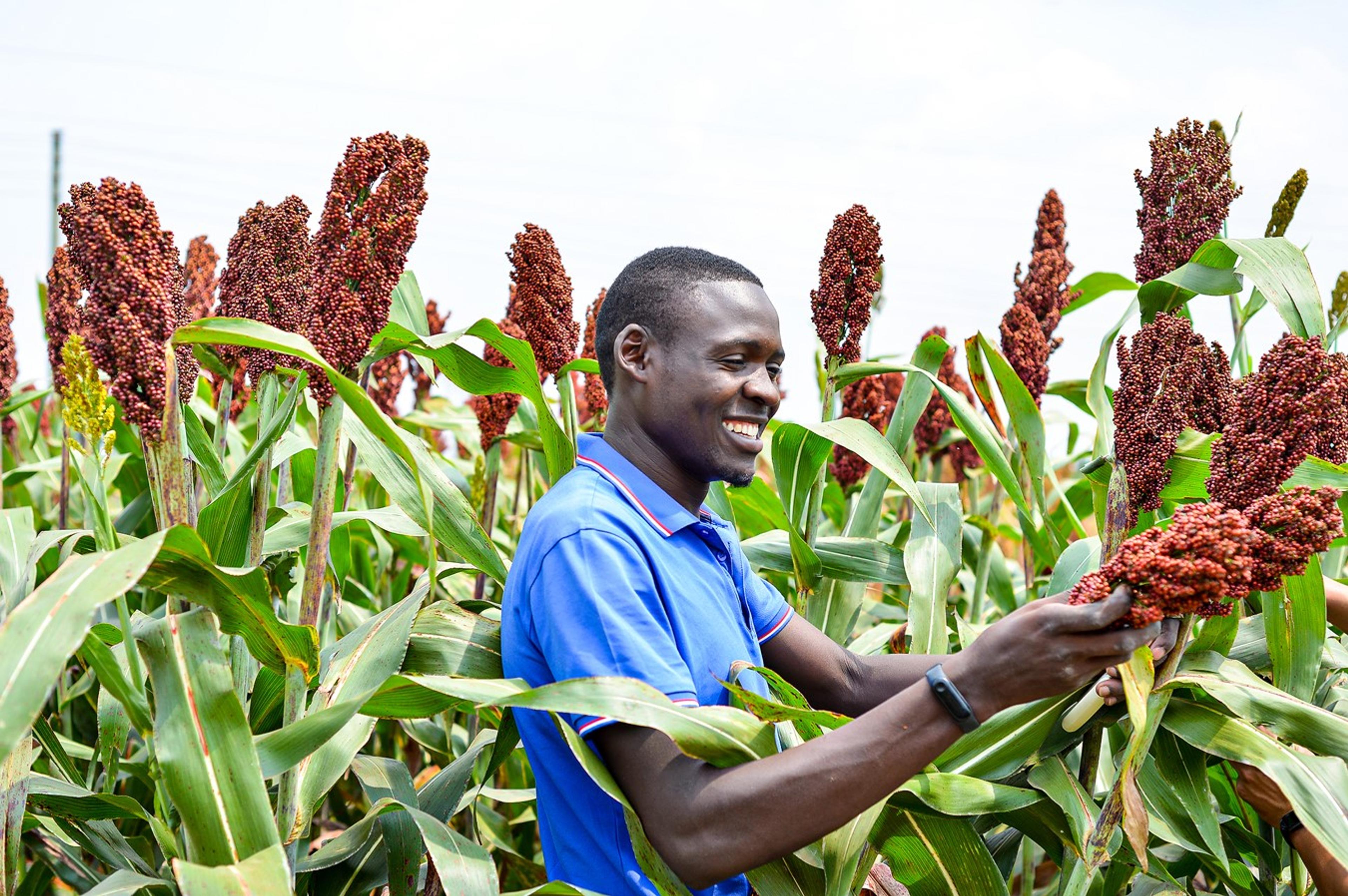 Agriculture drives Uganda’s export boom with record earnings in 2025